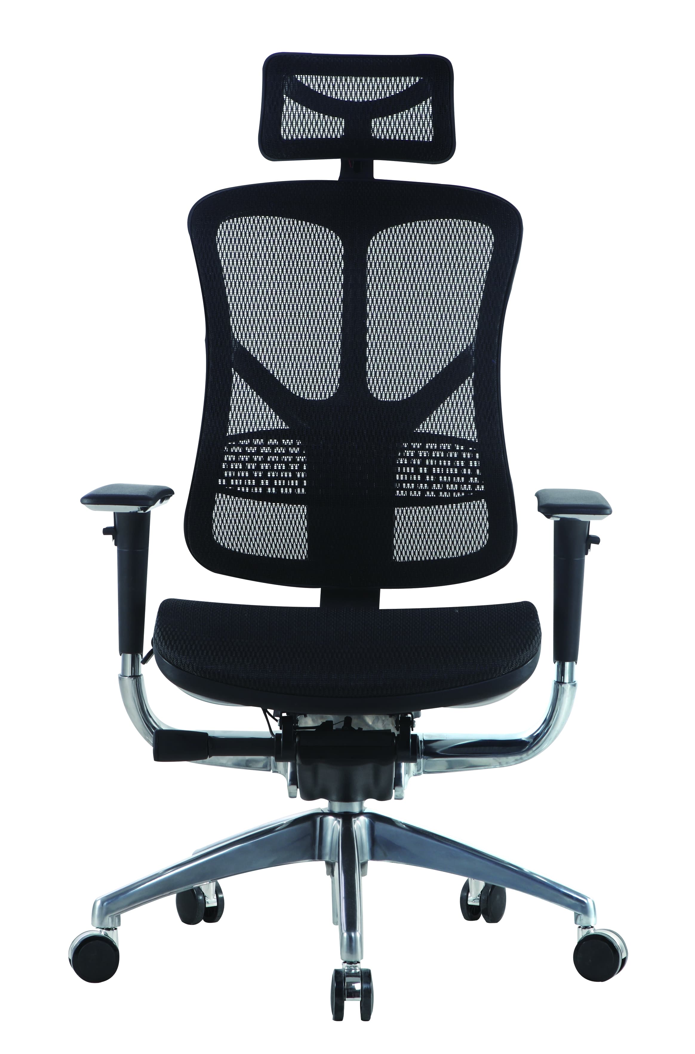 럼버 서포트의 모든 것: 허리 건강의 시작